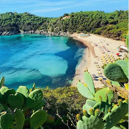 Apartment Dimora Del Golfo, 300mt From *